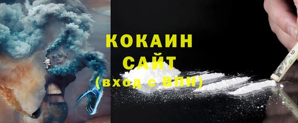 твердый Осинники