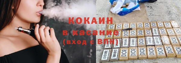 твердый Осинники
