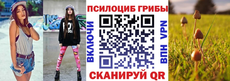 ссылка на мегу ТОР  Ивангород  Псилоцибиновые грибы Psilocybe  сколько стоит 